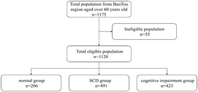 Prevalence and risk factors of subjective cognitive decline in older adults in Baotou, China: a cross-sectional study